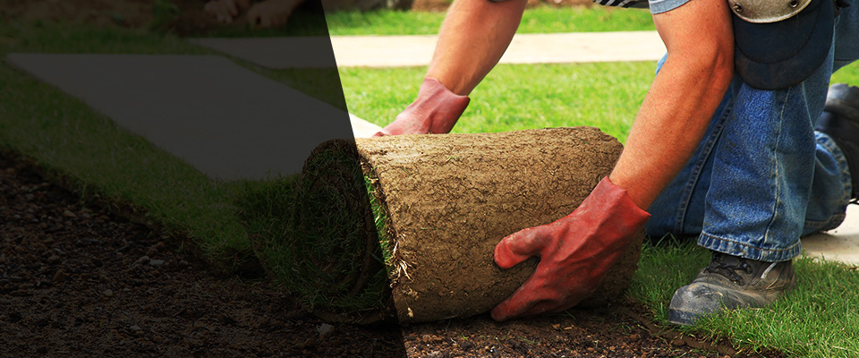 Grain Valley Landscapers